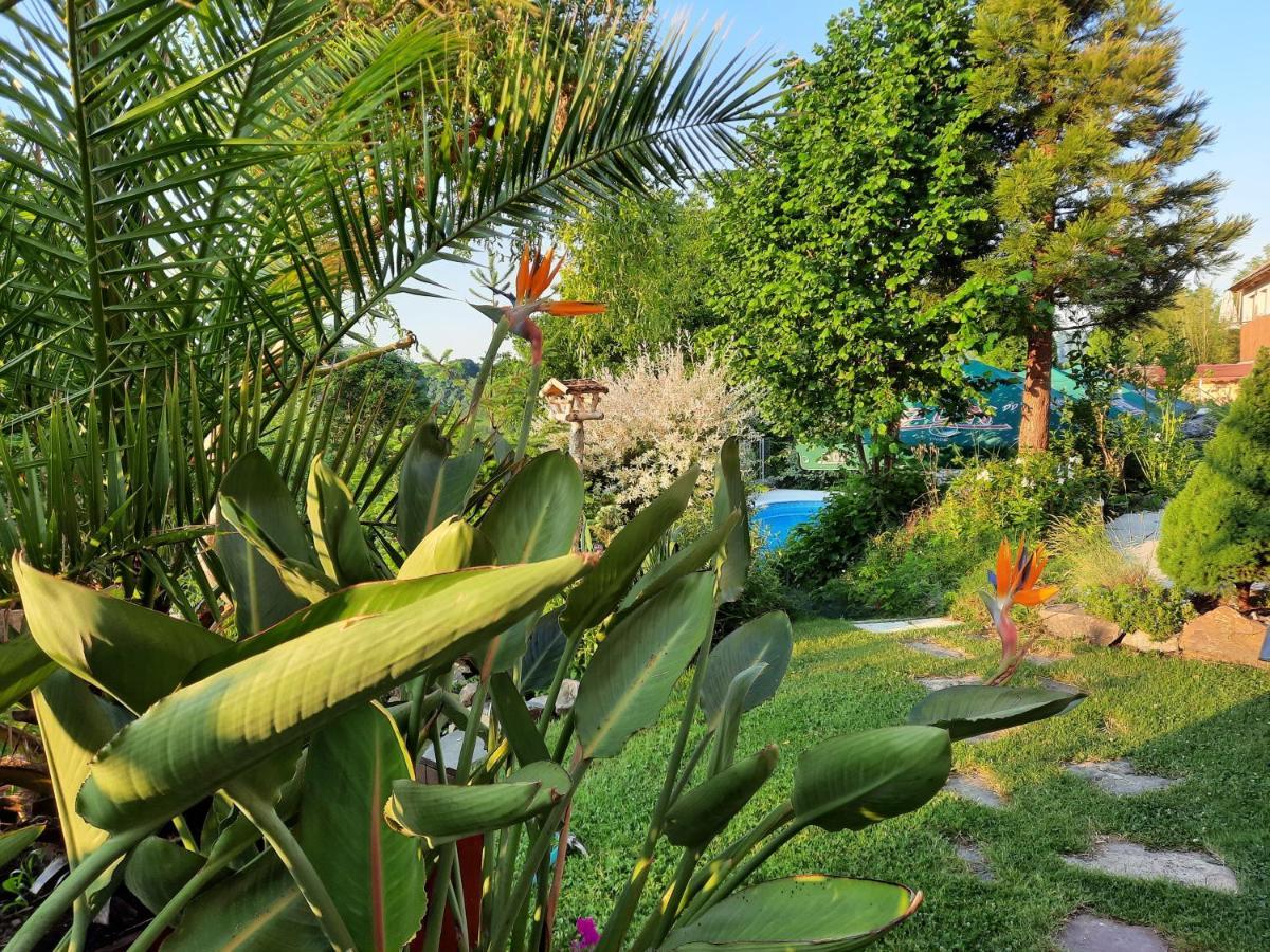 Penzion Zahrada Nad Rekou, Restaurace A Kavarna - Parkovani Gratis Zlatá Koruna Zewnętrze zdjęcie