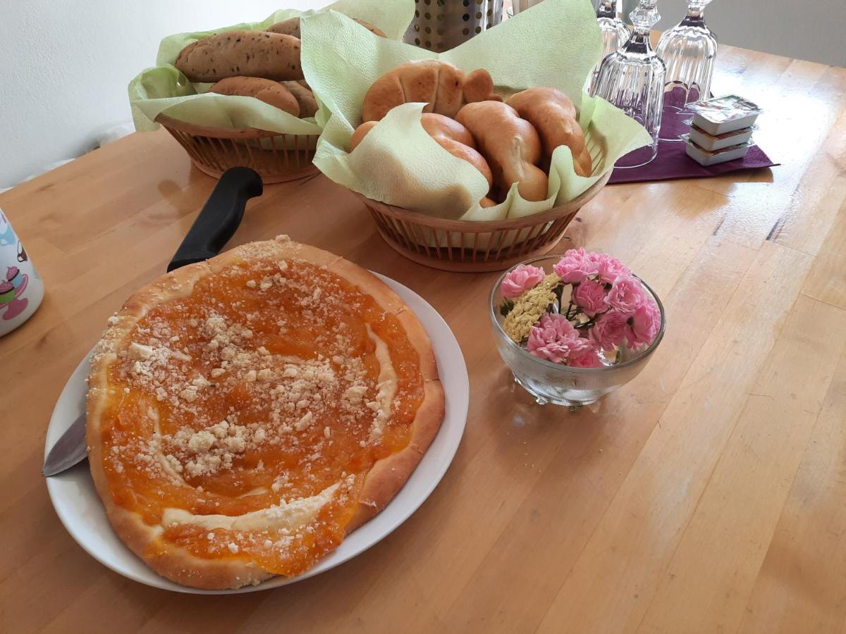 Penzion Zahrada Nad Rekou, Restaurace A Kavarna - Parkovani Gratis Zlatá Koruna Zewnętrze zdjęcie